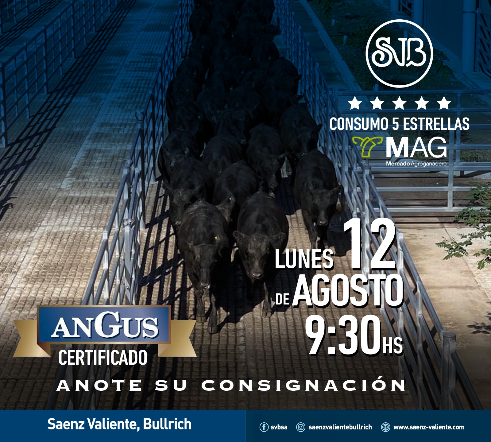 MAG – Consumo 5 estrellas | Mercado Agro Ganadero, Buenos Aires | Próximo Remate Feria el lunes 12 de agosto del 2024