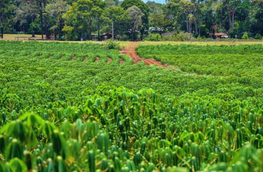 INTA y Fundación Banco Credicoop impulsan la agricultura regenerativa