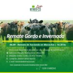 ATREU-CO | Macachín – La Pampa | Próximo Remate Feria el miércoles 04 de setiembre del 2024