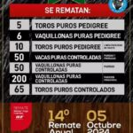 14º Gran Remate Anual de Cabaña Curacó en Gral. Acha | Néstor Hugo Fuentes | Próximo Remate Feria el sábado 5 de octubre de 2024