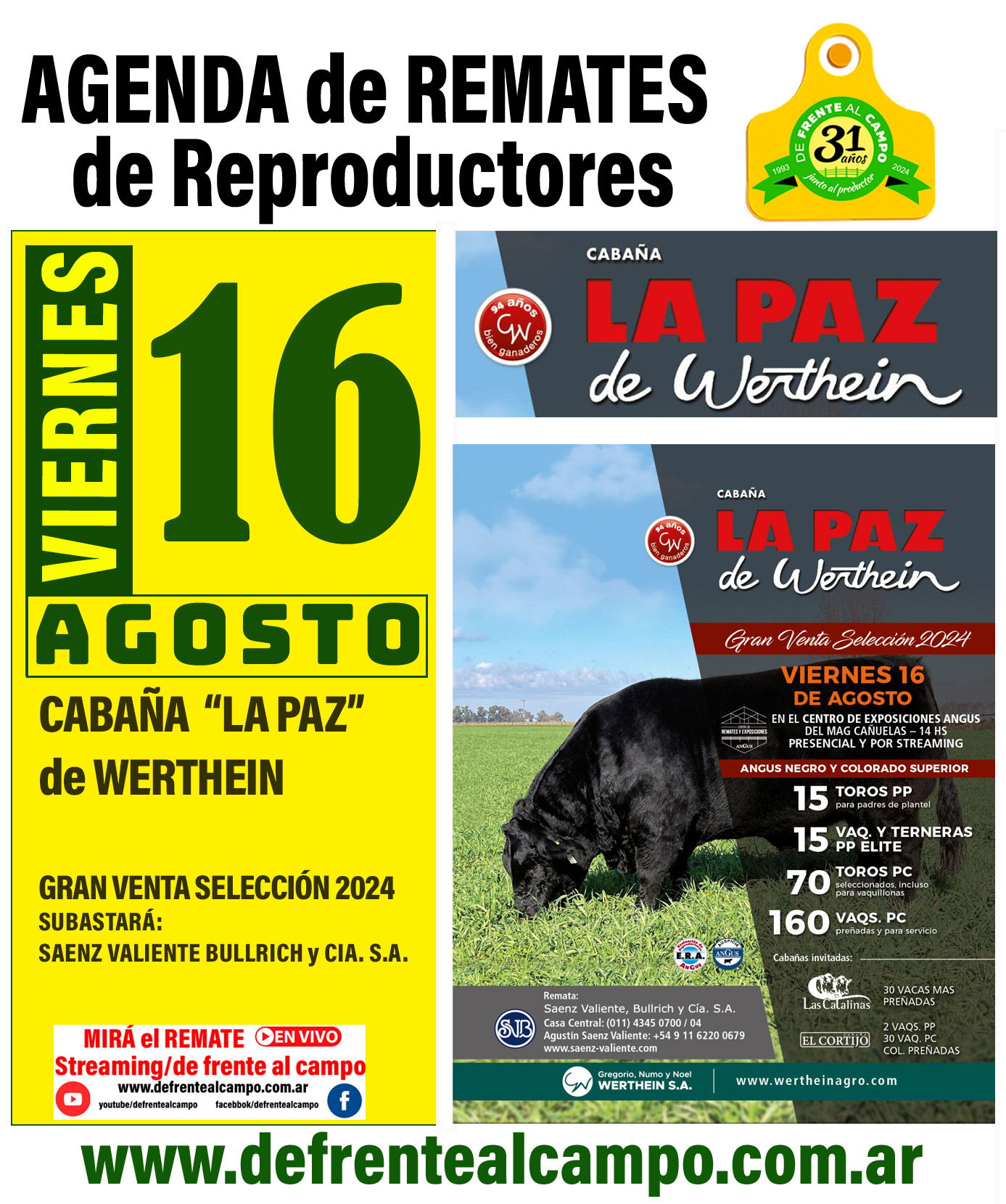 Cabaña La Paz de Werthein – Gran Venta Selección 2024 | Cañuelas, Bs As | Próximo Remate Feria el Viernes 16 de agosto de 2024