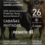 Cabaña Las Nenas | Huinca Renancó, Cordoba | Próximo Remate Feria el jueves 26 de septiembre 2024