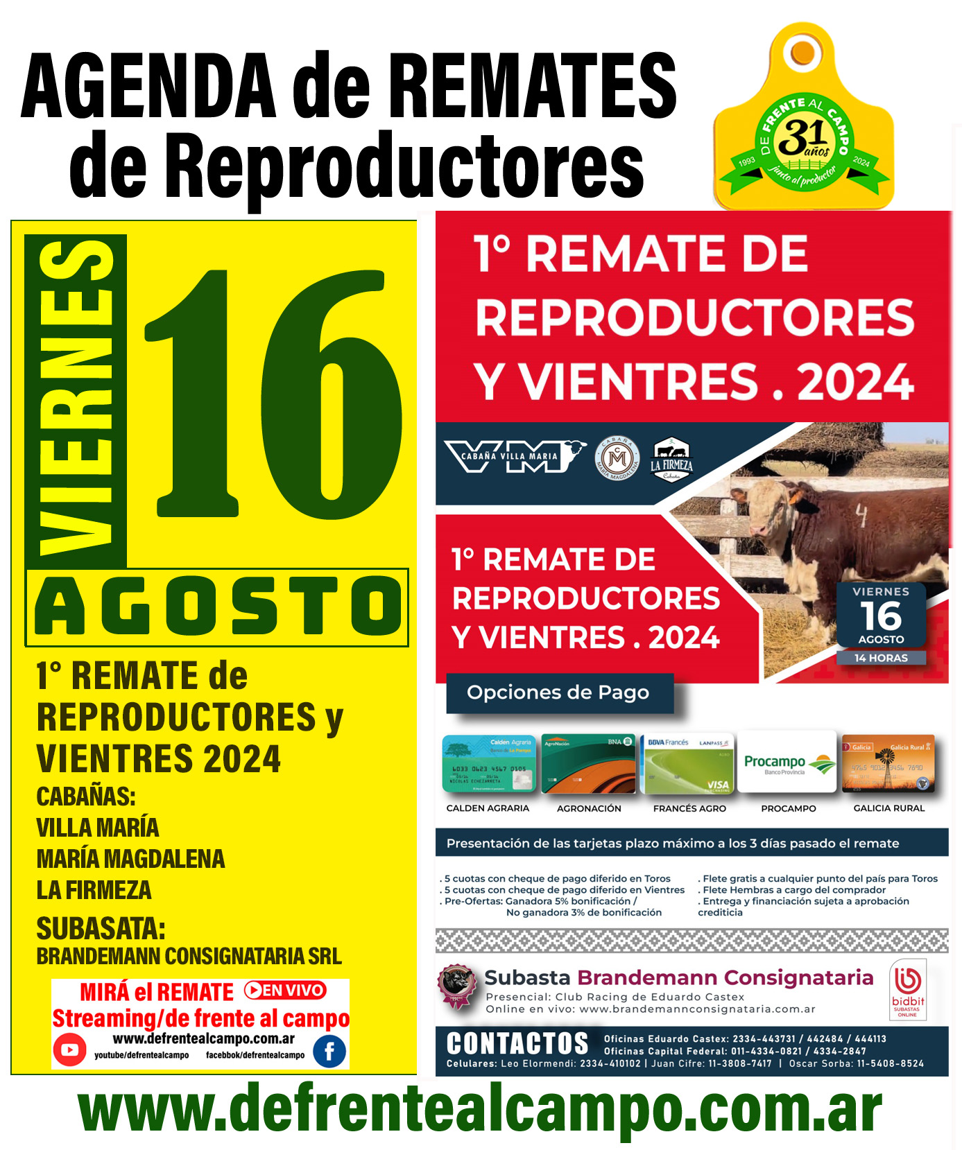 1º Remate de reproductores y vientres 2024 – Brandemann Consignataria S.R.L. | Eduardo Castex | Próximo Remate Feria el viernes 16 de agosto de 2024