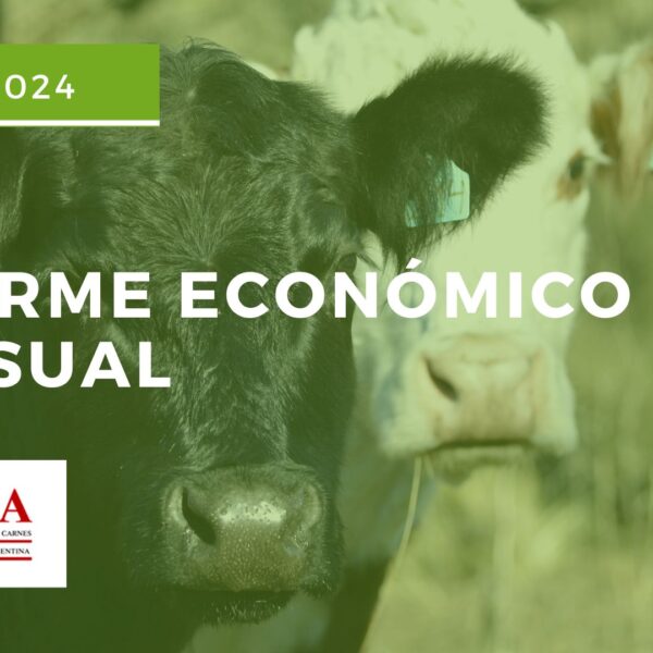 «Producción y Consumo de Carne Vacuna en Julio 2024, Caídas Históricas y Aumento en Exportaciones»