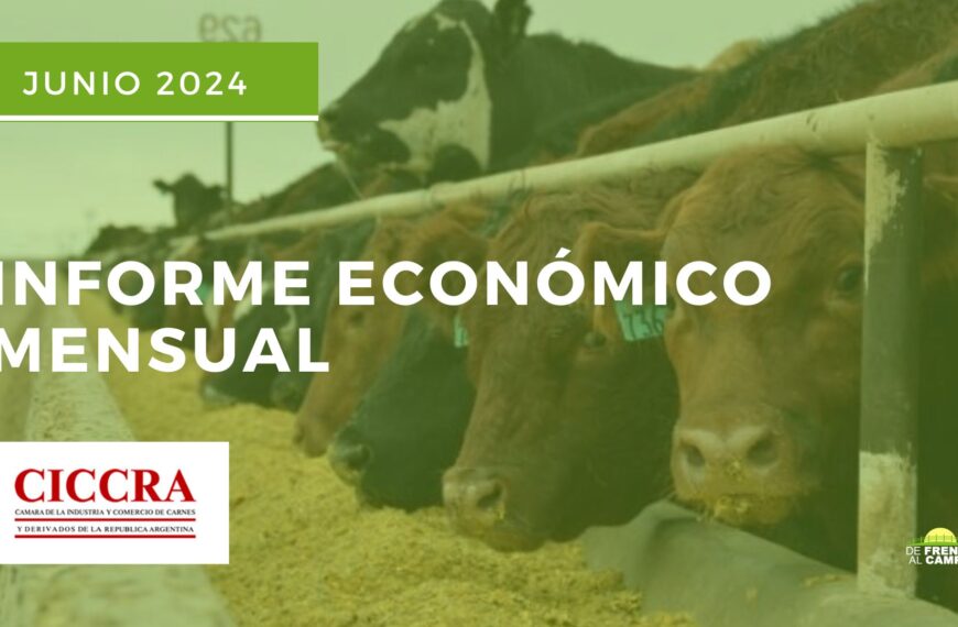 En junio, la faena vacuna cayó un 22%. ¿Cómo afecta esto a la producción de carne en Argentina?| CICCRA (Junio 2024)