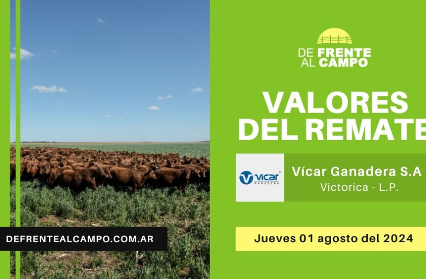 Valores del remate de Vicar Ganadera S.A. | Victorica – L.P. | 01-08-2024