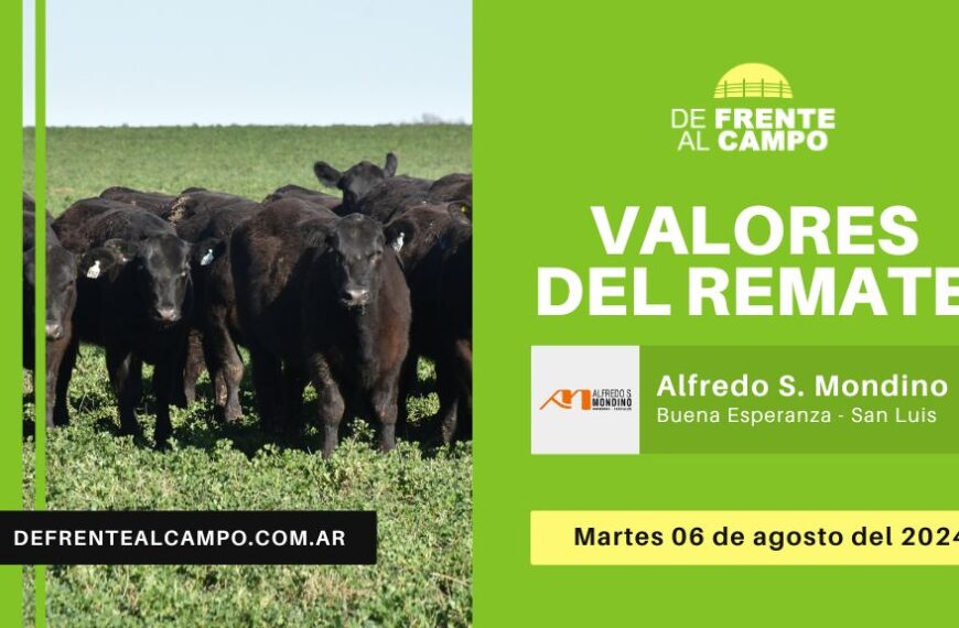 Valores del remate de Remate de Alfredo S. Mondino | Buena Esperanza – San Luis | 06-08-2024