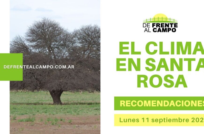 Clima en Santa Rosa: Día Soleado con Vientos Moderados – Prepárate para el Cambio de Temperatura