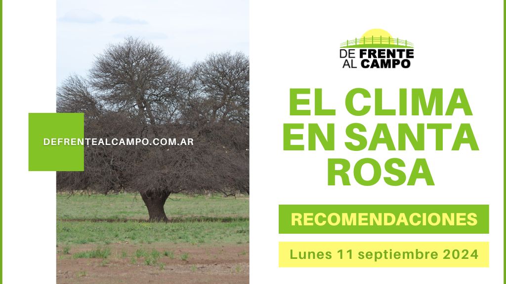 Clima en Santa Rosa: Día Soleado con Vientos Moderados – Prepárate para el Cambio de Temperatura