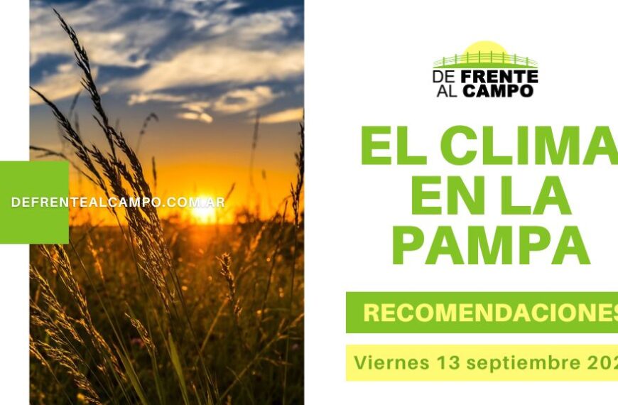 ¡Clima Soleado en La Pampa! Pronóstico y Recomendaciones para hoy viernes 13 de septiembre de 2024