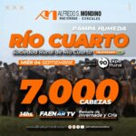 Alfredo S. Mondino | Río Cuarto – Córdoba | Próximo Remate Feria el miércoles 04 de septiembre del 2024