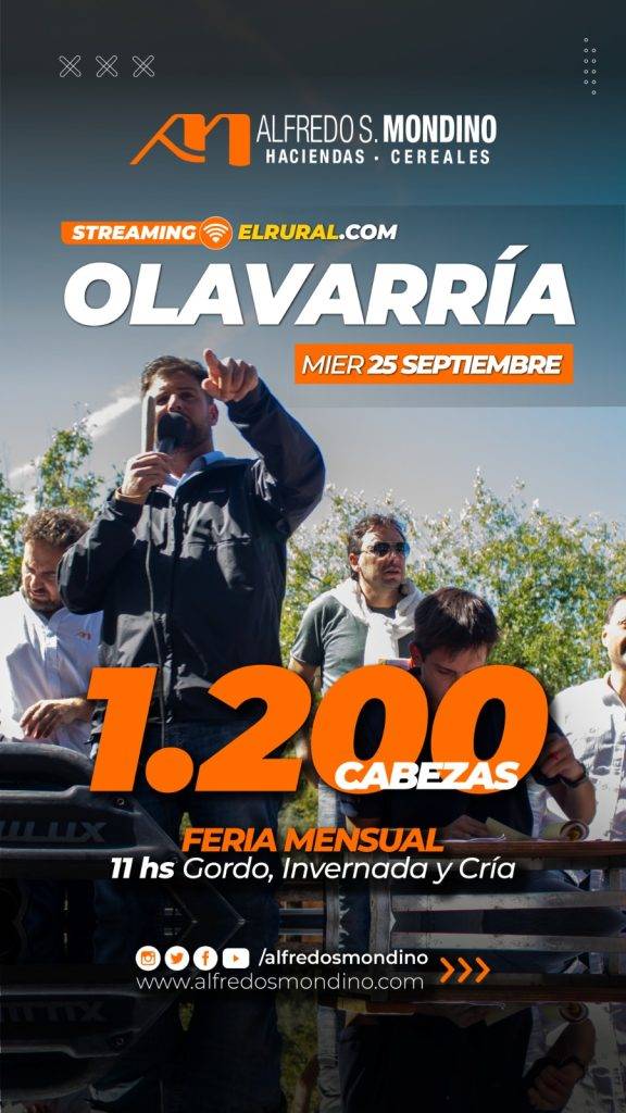 Alfredo S. Mondino | Olavarría, Prov. Bs. As. | Próximo Remate Feria el miércoles 25 de septiembre 2024