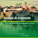 ATREU-CO | Macachín – La Pampa | Próximo Remate Feria el jueves 03 de octubre del 2024