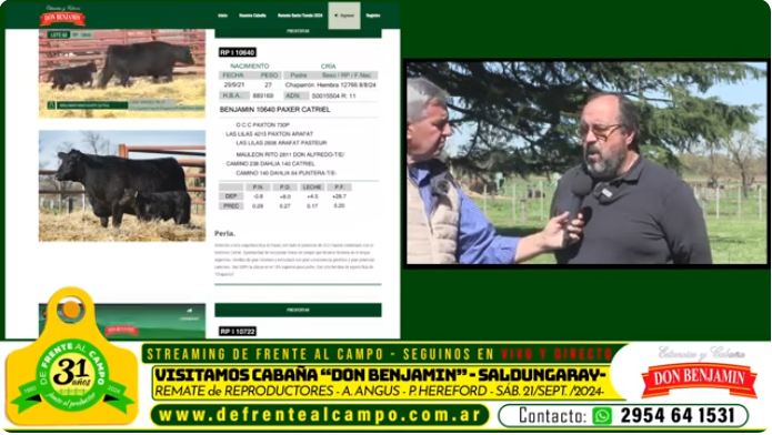 Visita a la cabaña: Don Benjamín presenta su genética de Angus y Hereford en un remate clave en Saldungaray