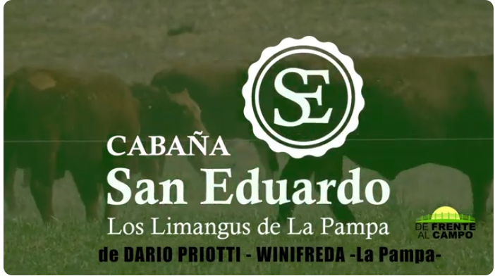 Visita a la cabaña San Eduardo: genética bovina pampeana con biotipo rústico y carne asegurada