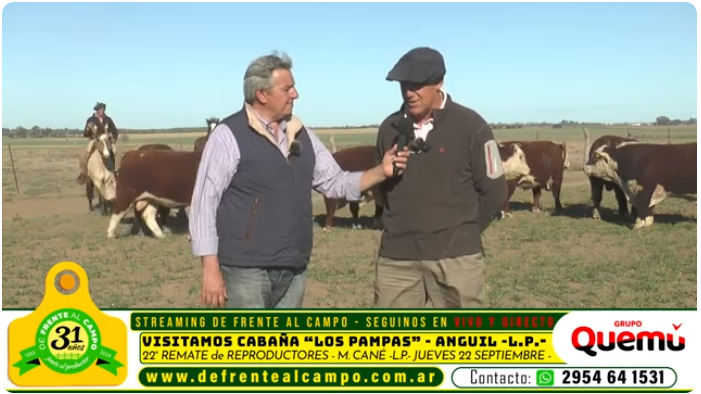 Visita a la cabaña «Los Pampas»: Producción genética de alta calidad con Hereford, Angus y Braford en tiempos de sequía