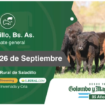 Colombo y Magliano S.A | Saladillo, Bs. As. | Próximo Remate Feria el jueves 26 de septiembre del 2024