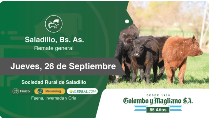 Colombo y Magliano S.A | Saladillo, Bs. As. | Próximo Remate Feria el jueves 26 de septiembre del 2024