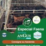 Colombo y Magliano S.A | Cañuelas, Bs. As. | Próximo Remate Feria el Martes 17 de septiembre del 2024