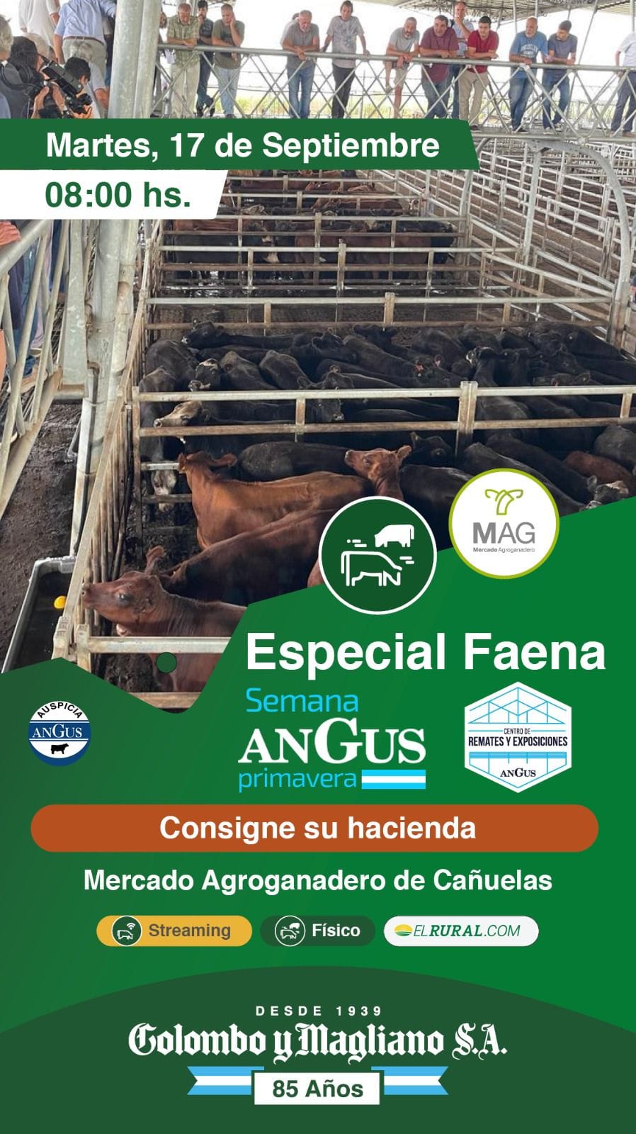 Colombo y Magliano S.A | Cañuelas, Bs. As. | Próximo Remate Feria el Martes 17 de septiembre del 2024