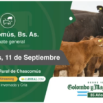 Colombo y Magliano S.A | Chascomús, Bs. As. | Próximo Remate Feria el Miércoles 11 de septiembre del 2024