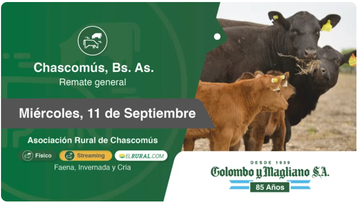 Colombo y Magliano S.A | Chascomús, Bs. As. | Próximo Remate Feria el Miércoles 11 de septiembre del 2024