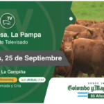 Colombo y Magliano S.A – Cabaña El Amanecer de Gaccio | Santa Rosa, La Pampa | Próximo Remate Feria el Miércoles 25 de septiembre del 2024