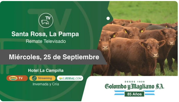 Colombo y Magliano S.A – Cabaña El Amanecer de Gaccio | Santa Rosa, La Pampa | Próximo Remate Feria el Miércoles 25 de septiembre del 2024