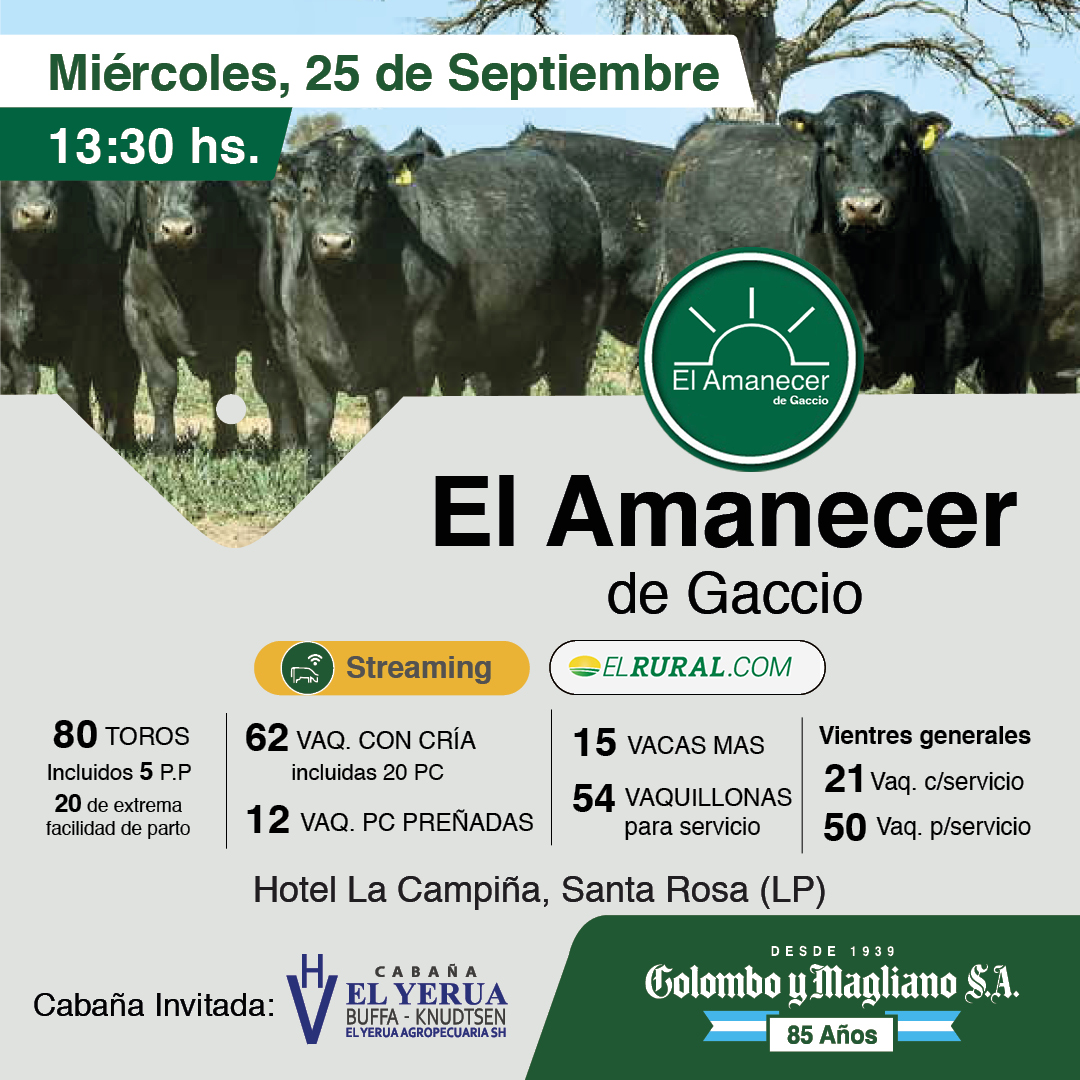 Colombo y Magliano S.A – Cabaña El Amanecer de Gaccio | Santa Rosa, La Pampa | Próximo Remate Feria el Miércoles 25 de septiembre del 2024