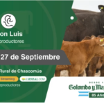 Colombo y Magliano S.A – Cabaña Don Luis | Chascomús, Bs. As. | Próximo Remate Feria el Viernes 27 de septiembre del 2024