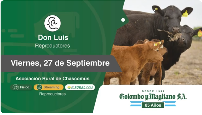 Colombo y Magliano S.A – Cabaña Don Luis | Chascomús, Bs. As. | Próximo Remate Feria el Viernes 27 de septiembre del 2024