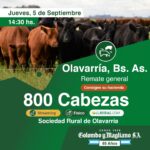 Colombo y Magliano S.A | Olavarría, Bs. As. | Próximo Remate Feria el Jueves 05 de septiembre del 2024