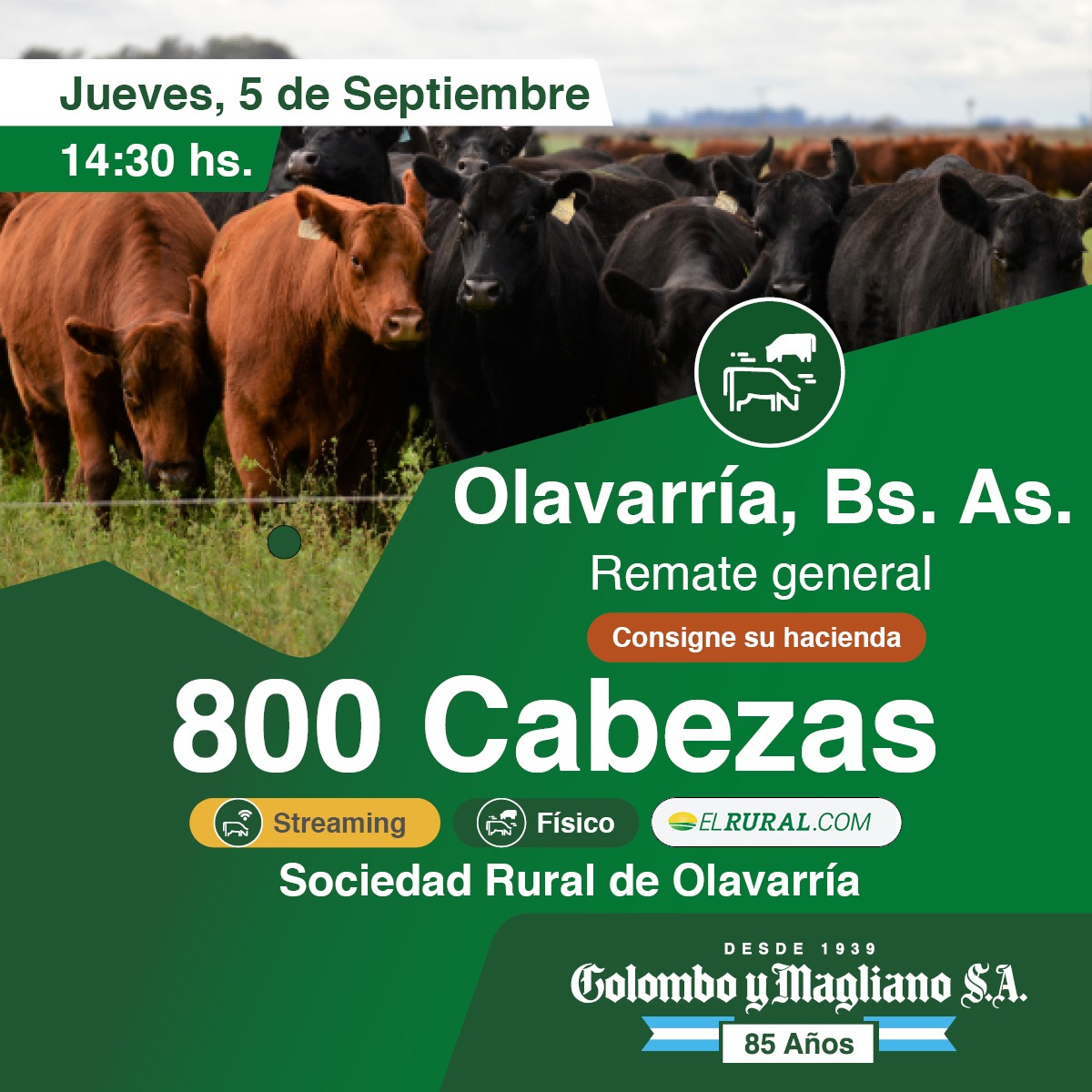 Colombo y Magliano S.A | Olavarría, Bs. As. | Próximo Remate Feria el Jueves 05 de septiembre del 2024