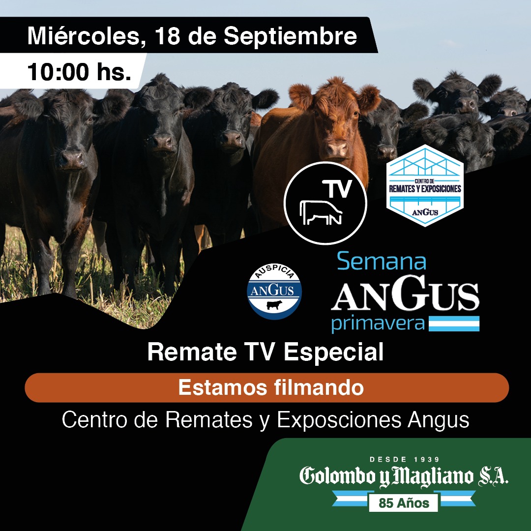 Colombo y Magliano S.A – Especial Angus de Primavera | MAG, Bs. As. | Próximo Remate Feria el Miércoles 18 de septiembre del 2024