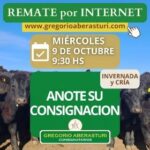 Gregorio Aberasturi SRL | Por internet | Próximo Remate Feria el miércoles 09 de octubre del 2024