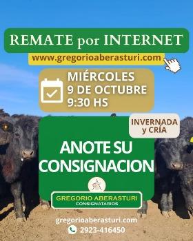 Gregorio Aberasturi SRL | Por internet | Próximo Remate Feria el miércoles 09 de octubre del 2024