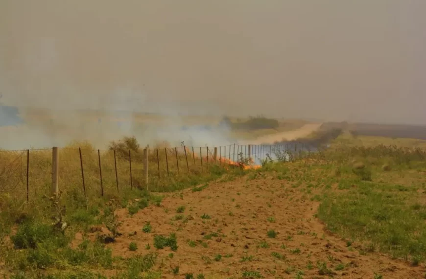 Crean la Agencia Federal de Emergencias para Combatir Incendios y Desastres Naturales en Argentina