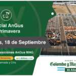 Colombo y Magliano S.A – Especial Angus de Primavera | MAG, Bs. As. | Próximo Remate Feria el Miércoles 18 de septiembre del 2024