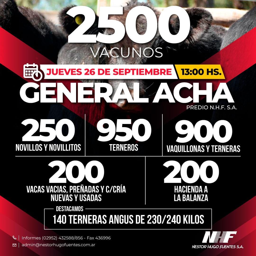 Néstor Hugo Fuentes S.A. | General Acha – La Pampa | Próximo Remate Feria el Jueves 26 de septiembre 2024