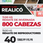 Néstor Hugo Fuentes S.A. | Realicó – La Pampa | Próximo Remate Feria el Sábado 14 de septiembre del 2024