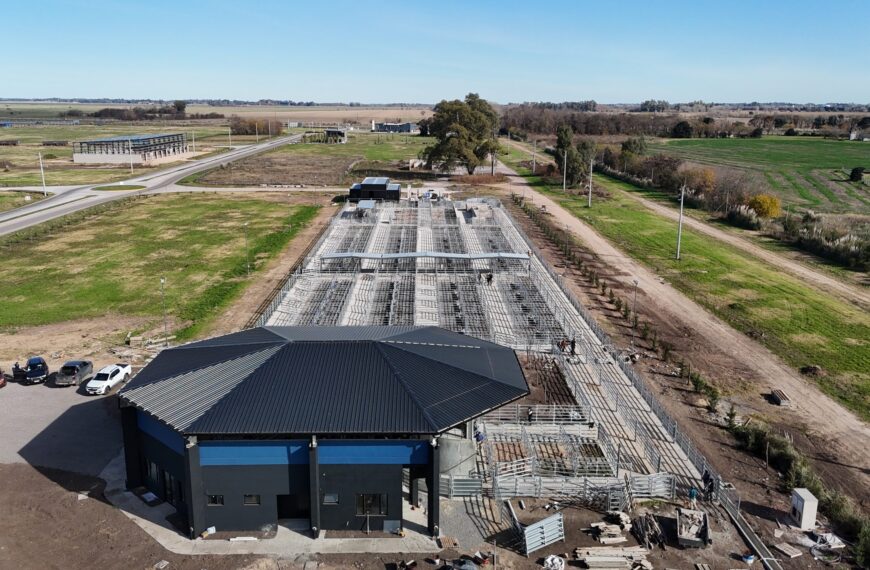 480 reproductores participarán de la Expo Angus de Primavera