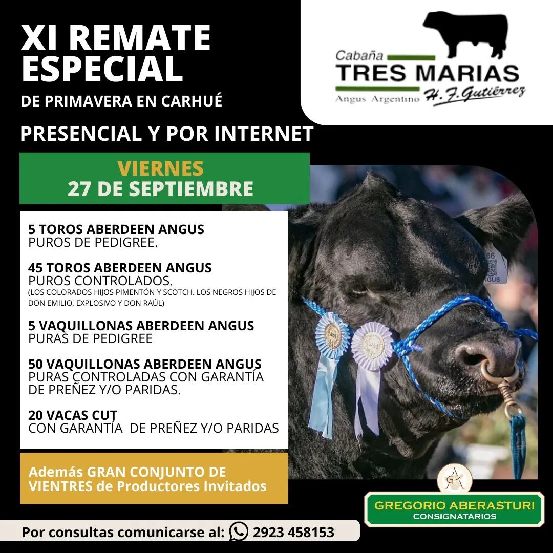 Gregorio Aberasturi SRL | XI Remate Especial de Primavera en Carhué | Próximo Remate Feria el Viernes 27 de septiembre 2024