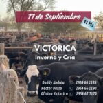 Ganaderos de Elordi S.A. | Victorica – La Pampa | Próximo Remate Feria el miércoles 11 de septiembre 2024