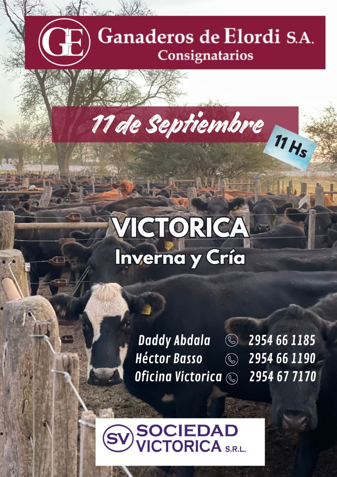 Ganaderos de Elordi S.A. | Victorica – La Pampa | Próximo Remate Feria el miércoles 11 de septiembre 2024