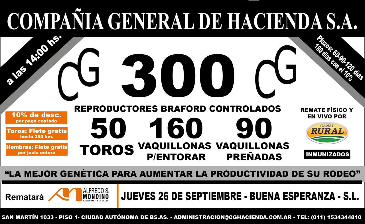 Alfredo S. Mondino | Buena Esperanza – San Luis | Próximo Remate Feria el jueves 26 de septiembre del 2024