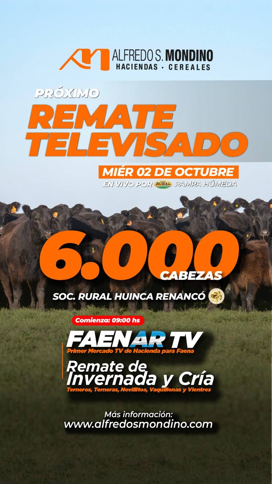 Alfredo S. Mondino | Huinca Renancó – Córdoba | Próximo Remate Feria el miércoles 02 de octubre del 2024