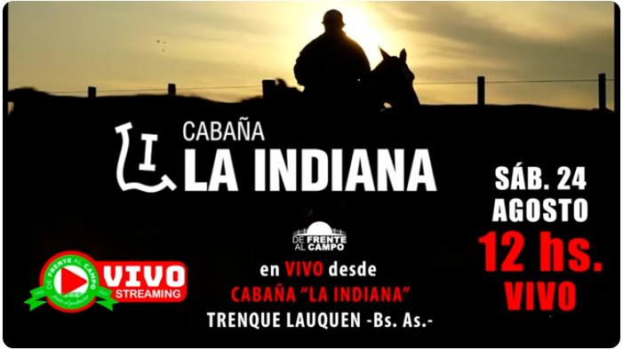 Visita a la cabaña La Indiana: Preparativos para el gran remate del miércoles 28 de agosto en Trenque Lauquen