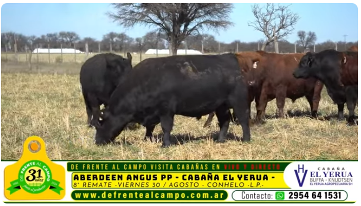 Visita a la cabaña ‘La Adela’ de Agro Ganadera Battaglia S.A.: Innovación genética y excelencia en la producción bovina