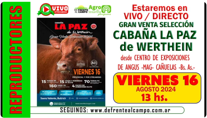 Visita a la cabaña La Paz de Werthein: Innovadora Subasta en La Paz con Remate Exclusivo de Genética Bovina