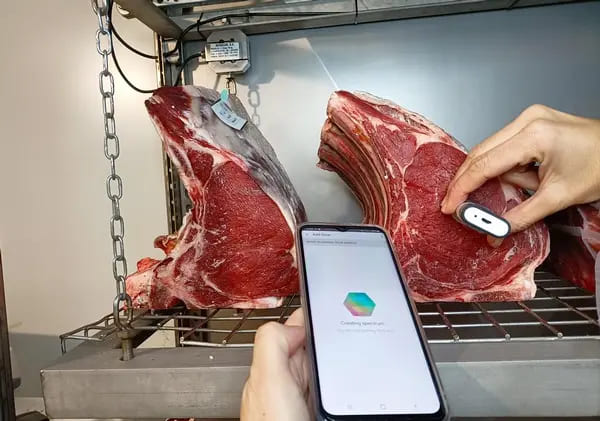 IRTA: Información y formación para una carne madurada segura y de calidad